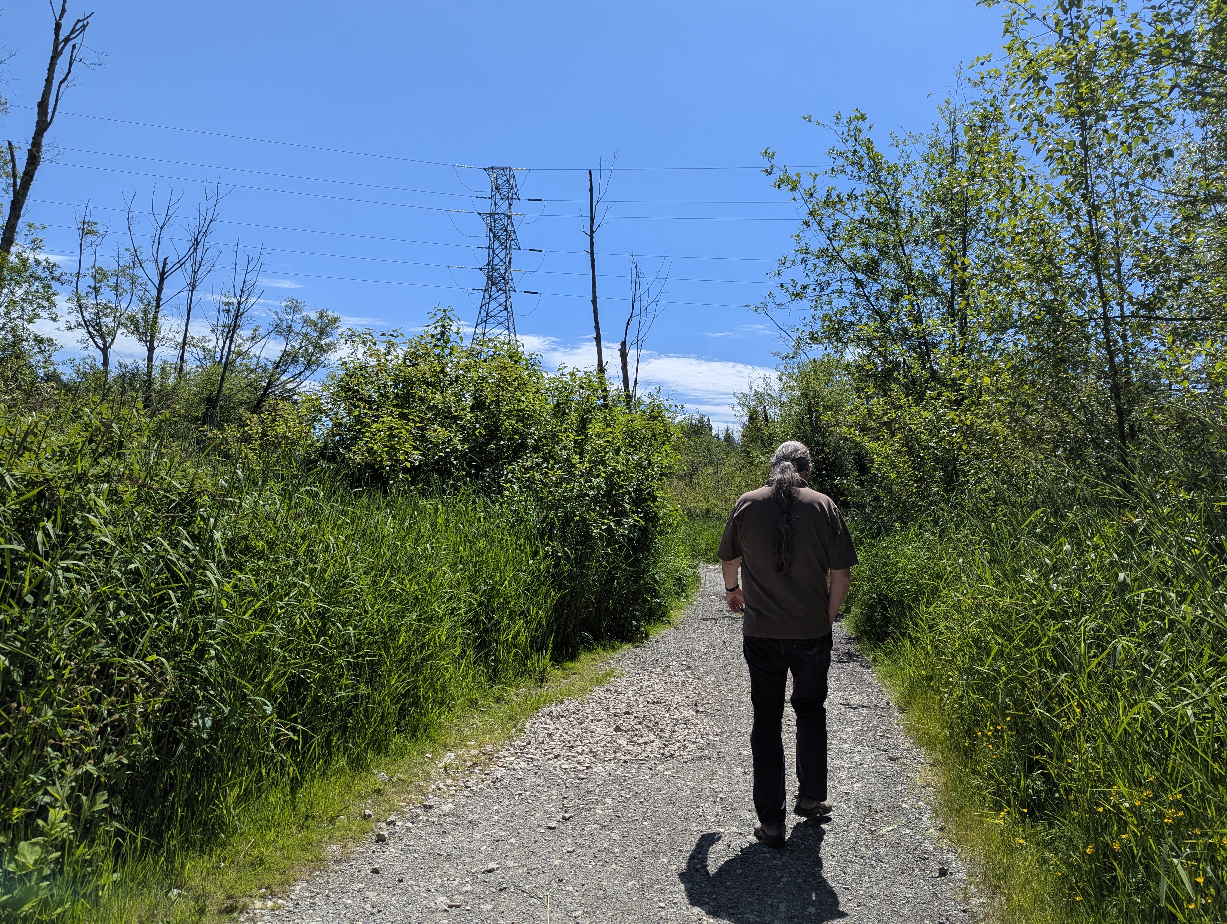 Birthday Trip to Canada, Delta, Burns Bog, Vancouver, British Columbia